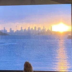 Meet your Posher, Romy